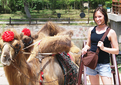 What's it like to study abroad?     . . . read more »